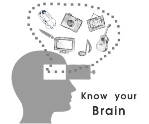 Know your brain